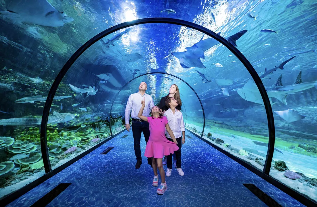 A Night on the Town: Exploring the Diverse Nightlife in Abu Dhabi